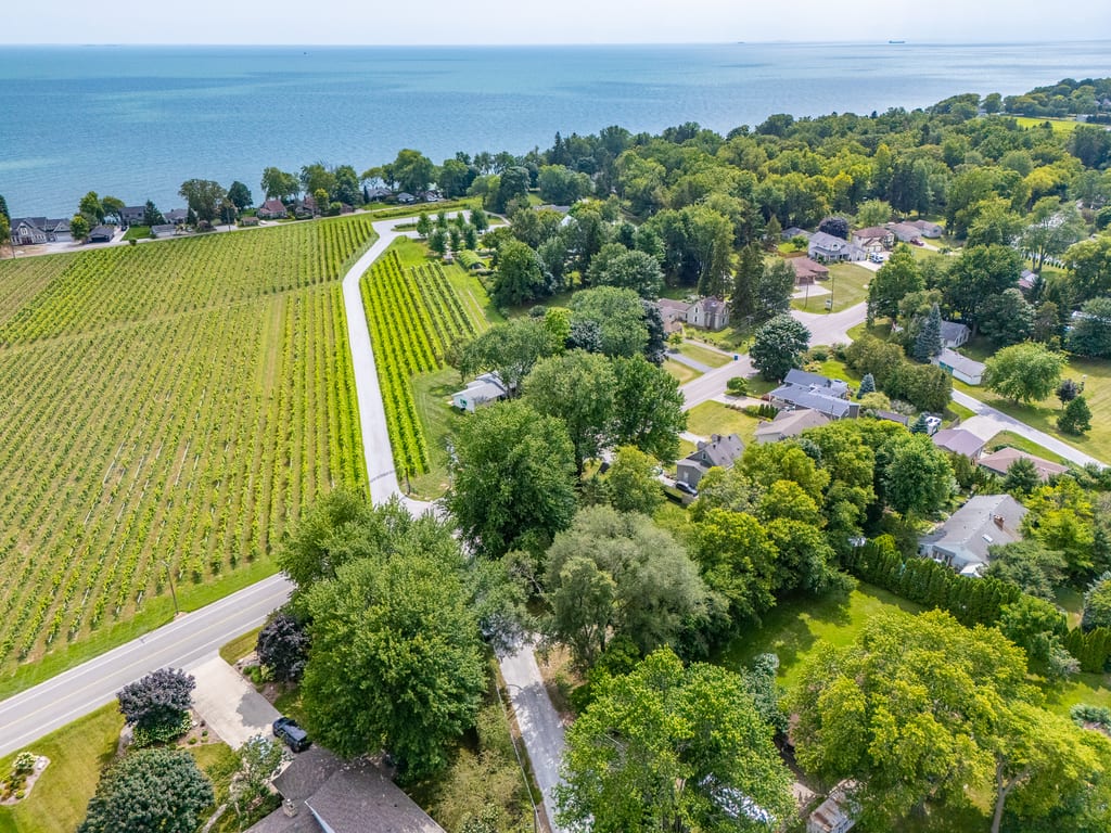 Aerial view of vineyard rows running down toward the Lake Erie shoreline