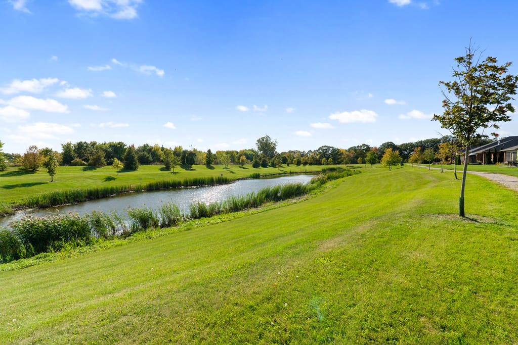 Grass slope down to a pond lined with reeds and young trees